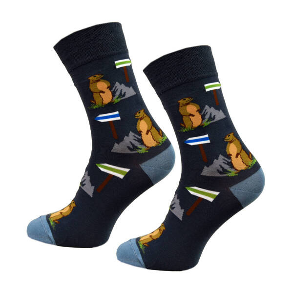 Skarpetki długie męskie świstak 39-42