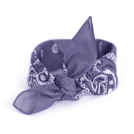 Bandana Classic Rebel