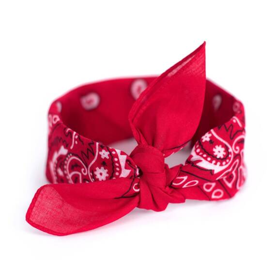 Bandana Classic rebel